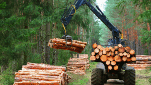 Forestry harvester loading pine logs for transport, illustrating timber as a real-asset commodity and the upstream supply chain behind lumber markets.